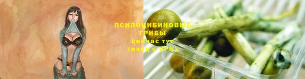 ECSTASY Бугульма