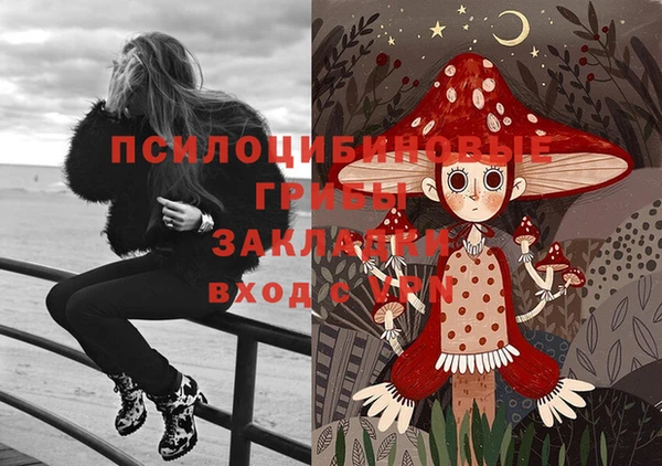 ECSTASY Бугульма