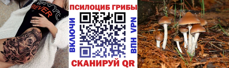 Галлюциногенные грибы ЛСД  мега ТОР  Сургут 
